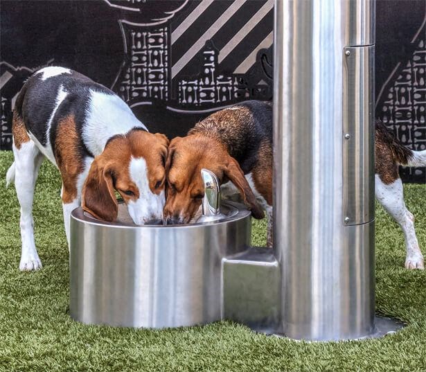 Metro 112 - Bellevue, WA - pet-friendly